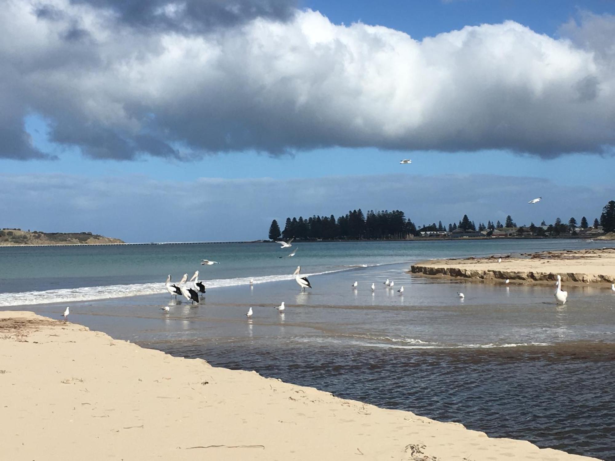 Yelki By The Sea Hotel Encounter Bay Bagian luar foto