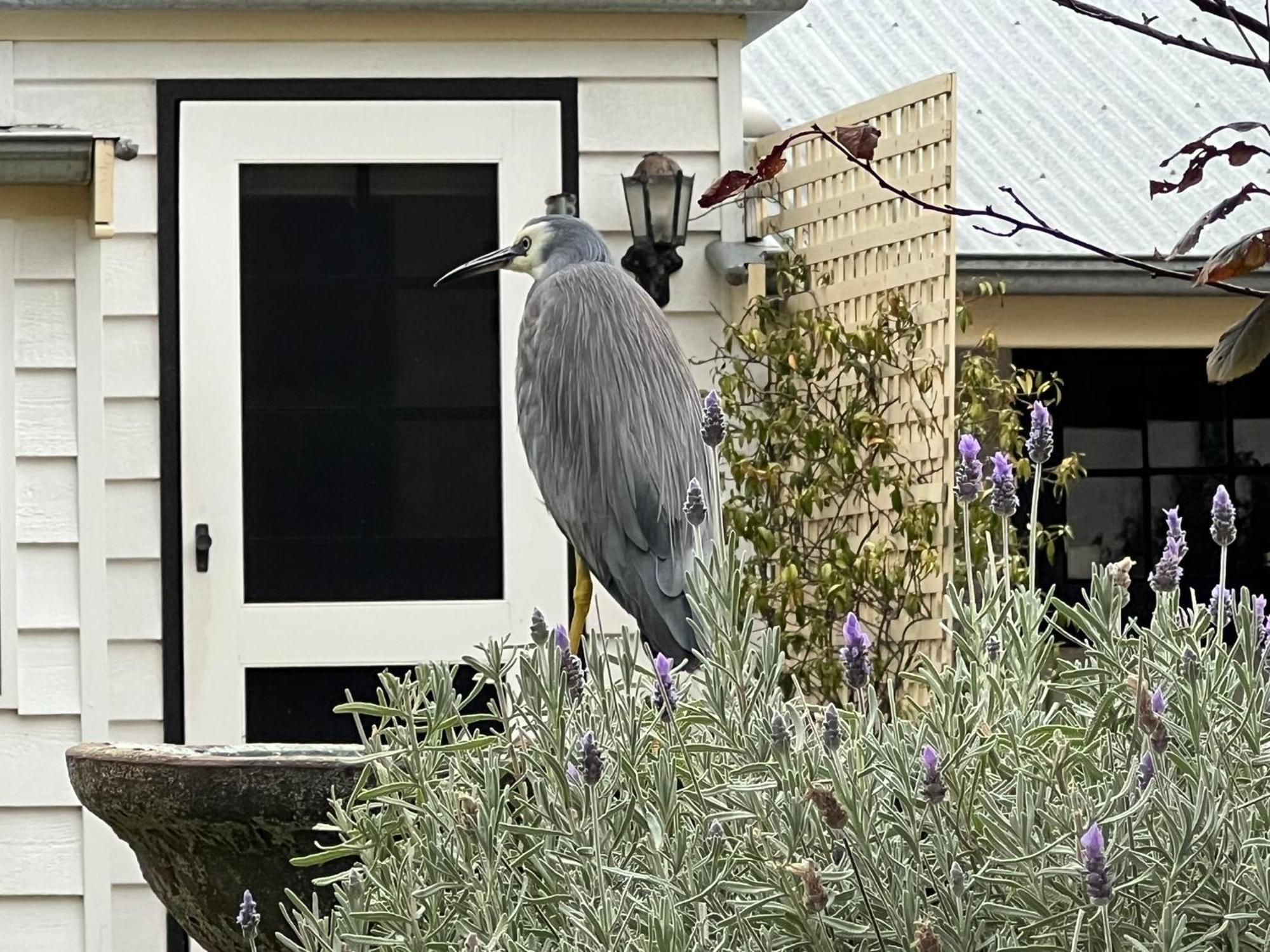 Yelki By The Sea Hotel Encounter Bay Bagian luar foto