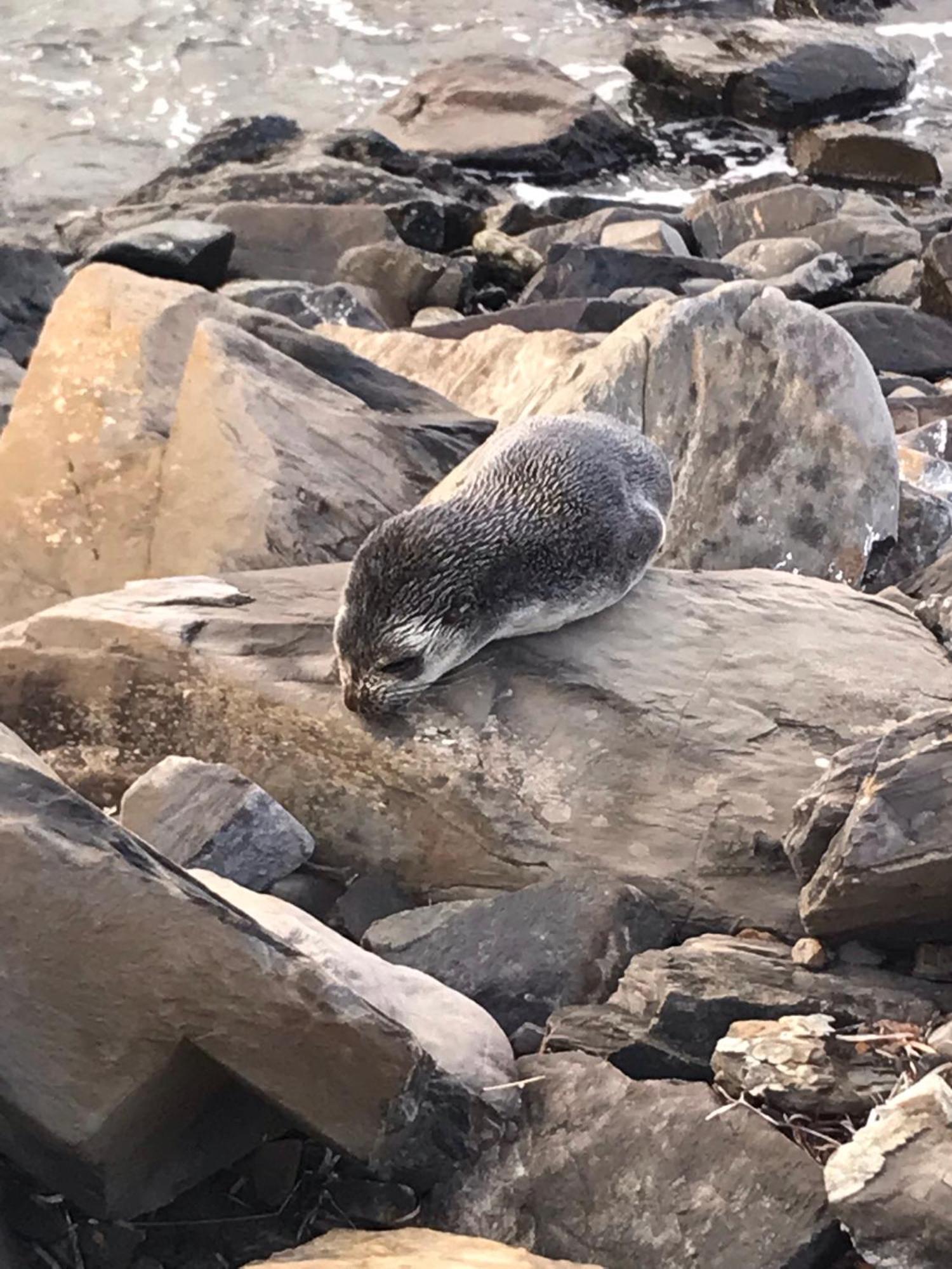 Yelki By The Sea Hotel Encounter Bay Bagian luar foto