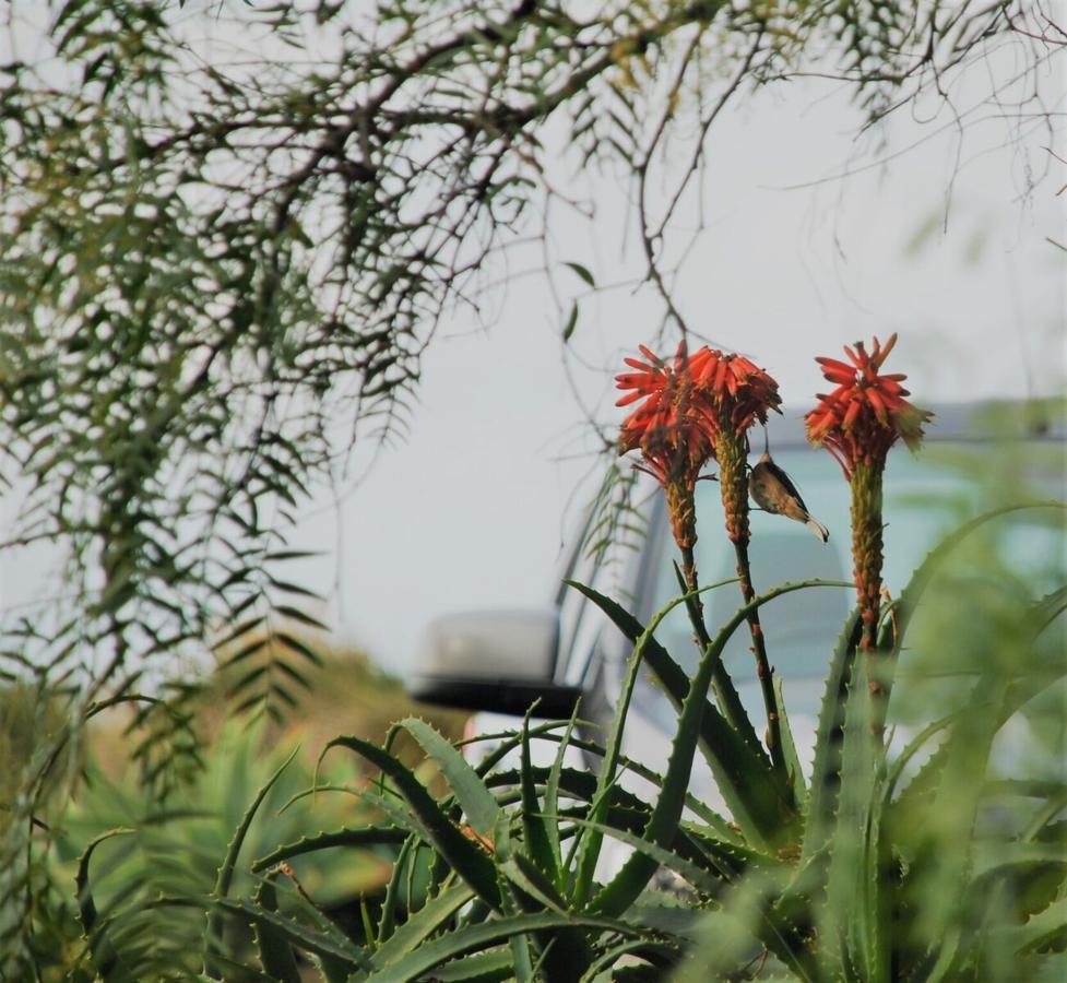 Yelki By The Sea Hotel Encounter Bay Bagian luar foto
